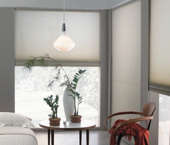 honeycomb shades in Raleigh house